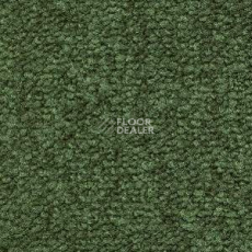 Ковролин Radici Trotter Prato 9504 фото 1 | FLOORDEALER